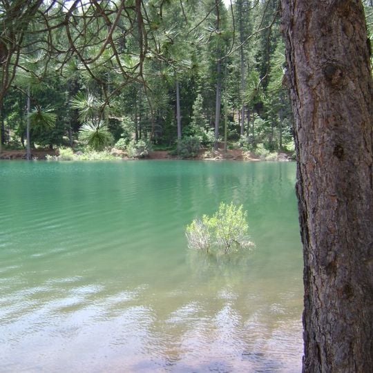 Pollock Pines