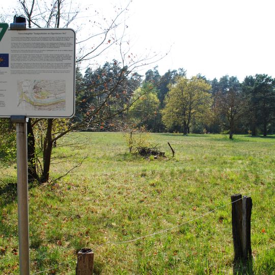 Sandgrasheiden am Elgersheimer Hof