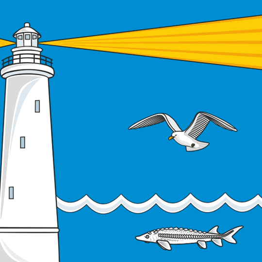 马亚奇诺耶村委员会