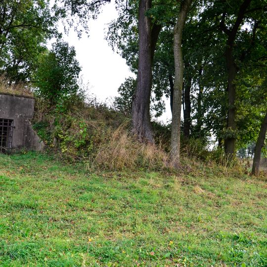 Fortifications in Brudzew
