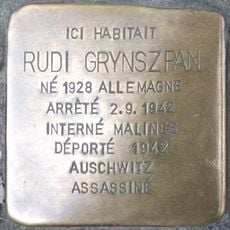 Rudi Grynszpan