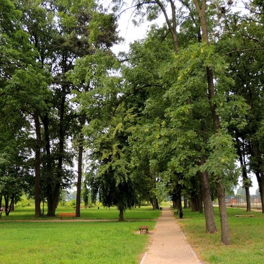 Park in Piątek