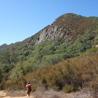 Stebbins Cold Canyon Reserve