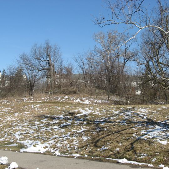 Burchenal Mound