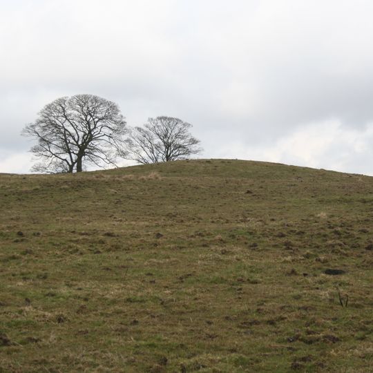 Bowl barrow 170m north of The Low