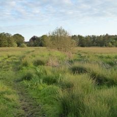 Darsham Marshes