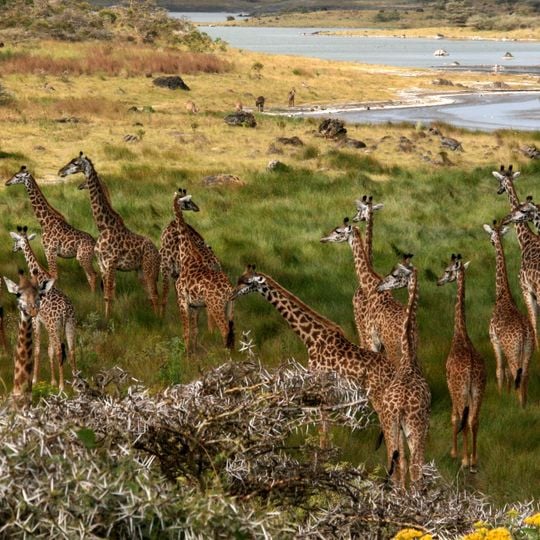 Arusha National Park
