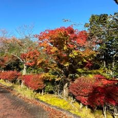 大江山運動公園