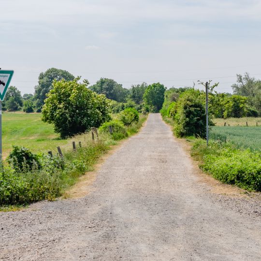 Rheinvorland nördlich der Ossenberger Schleuse