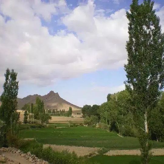 Paktia