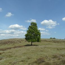Drakamöllan
