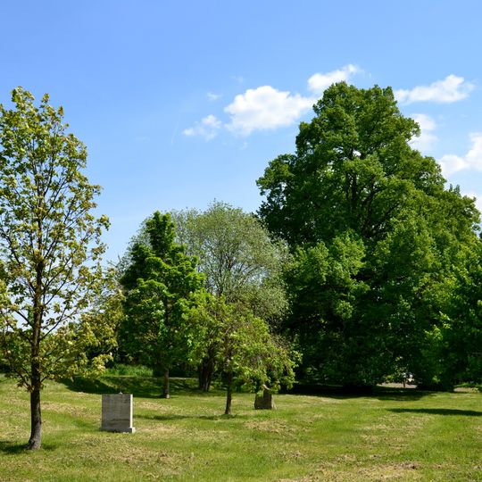 Svatohavelská lípa