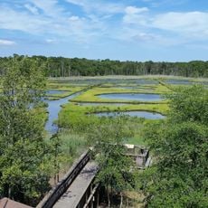 Cattus Island Park