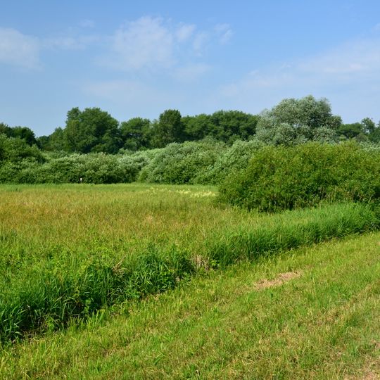 Mokřad pod Terezínskou pevností