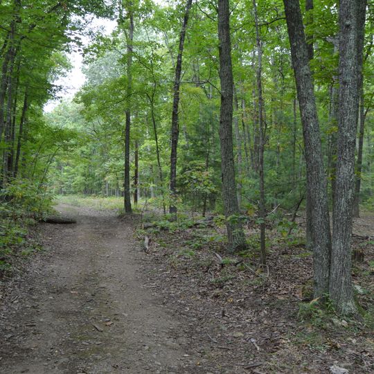 Archeological Site No. AU-154