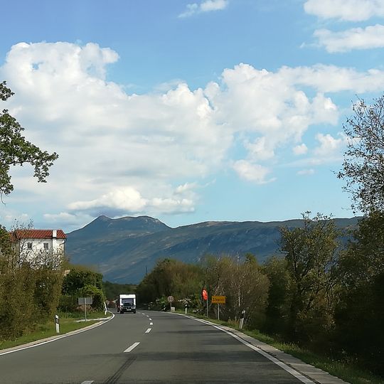 Stepčići