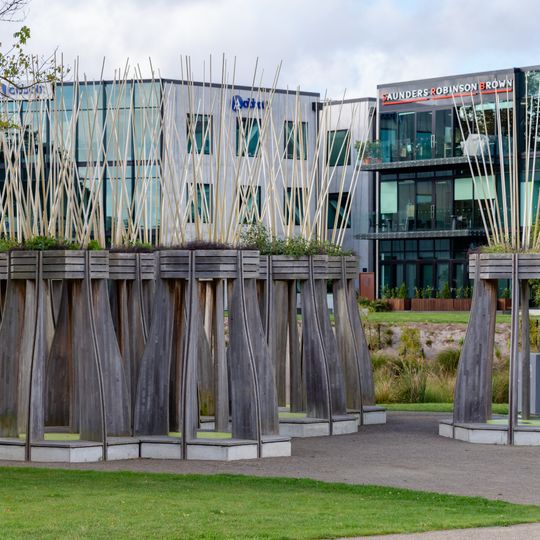 Tree Houses for Swamp Dwellers