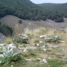 Forca d'Acero
