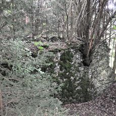 Schlossruine Pfannhof