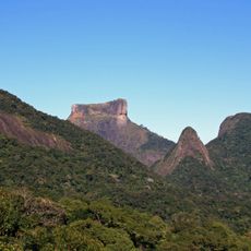 Tijuca Forest