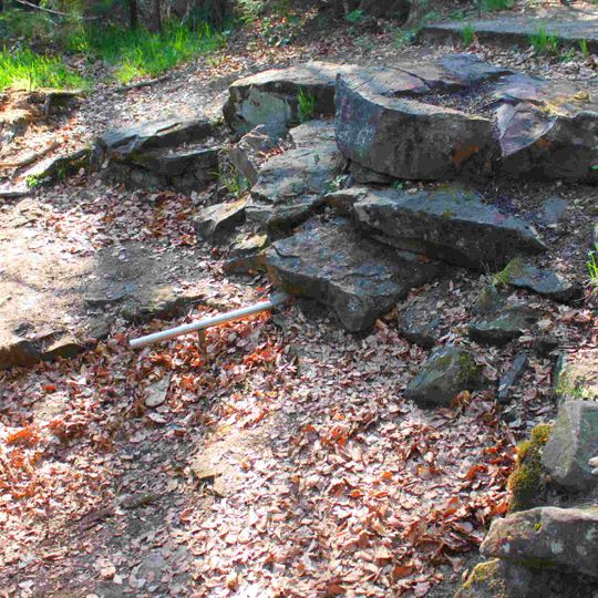 Red Main Spring