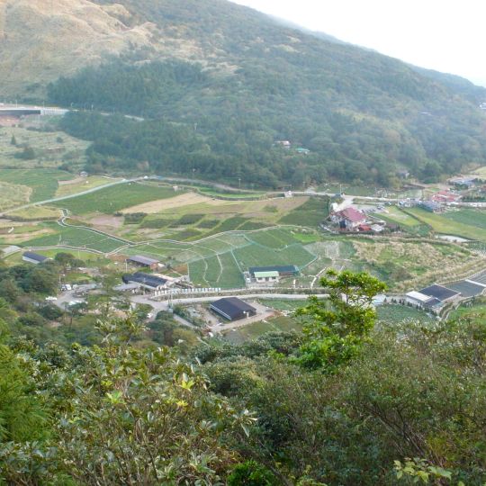 Zhuzihu
