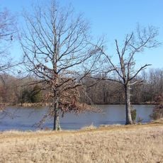 Shelby Farms