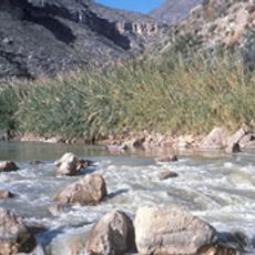 Rio Grande Wild and Scenic River