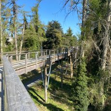 Treetop Walk
