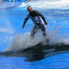 SeaWorld Orlando