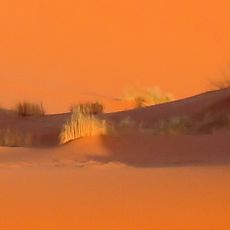 Erg Chebbi