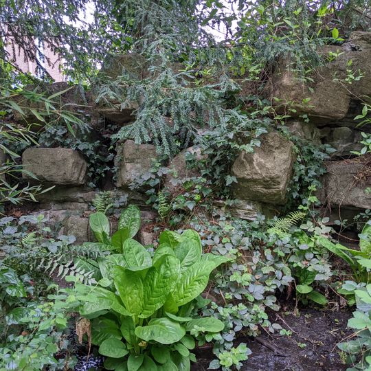Pulhamite Fernery, Bromley Palace Park