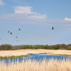 Bulakhivskyi Lyman Reserve