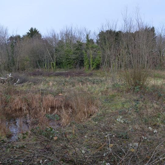 Birdbrook Road Nature Reserve