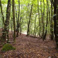 Powiat Lüchow-Dannenberg