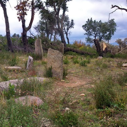 Menhire von Terriers