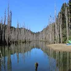 Shuiyang Forest