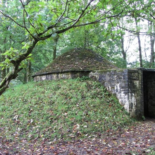 Ice House to The N.of Dynevor Castle Dynevor Park