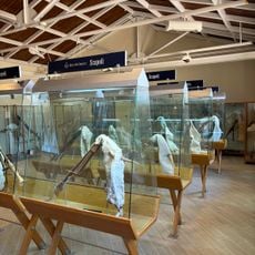 Museo della Zampogna