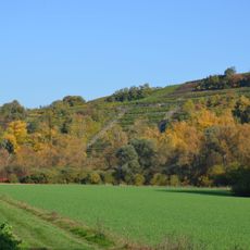 Alte Lauffener Neckartalschlinge