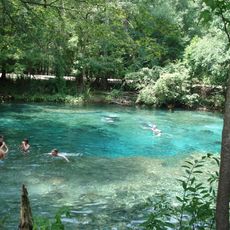 Ginnie Springs