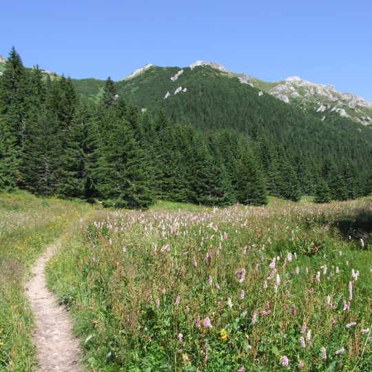 Zadnia Koperszadzka Pastwa