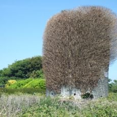 Windmill At Ngr Sy 69077128