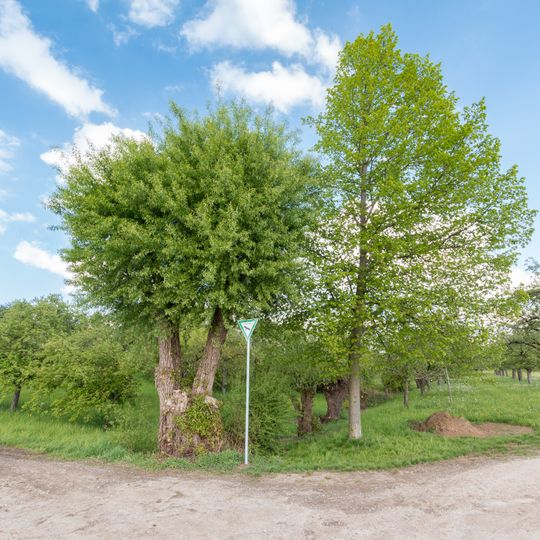 Weiden am Finkenbach