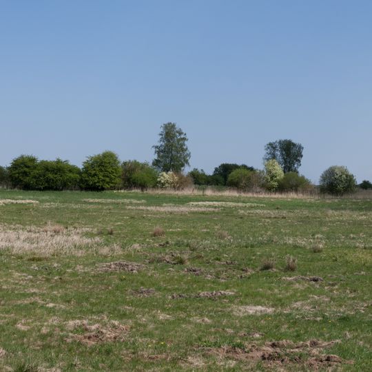 Talmoorkomplex des Kleinen Landgrabens bei Werder