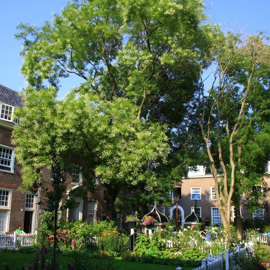 Huiszittenweduwenhof