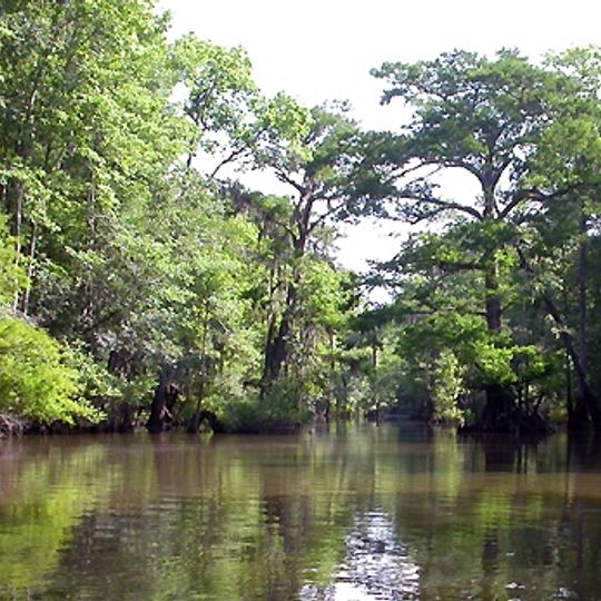 Mobile-Tensaw River Delta