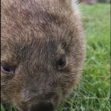 Tralaga Wildlife park