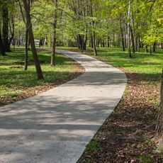 Ahlebinovskaya grove