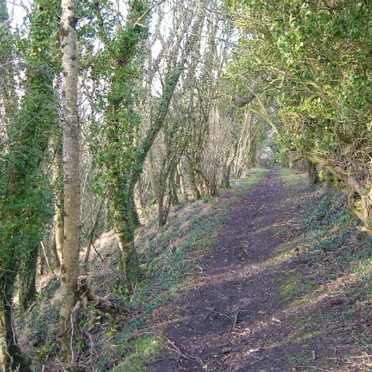 Prior's Park & Adcombe Wood